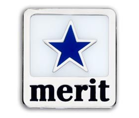 Merit badge blue(pack of 5)