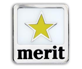 Merit badge yellow (pack of 5)