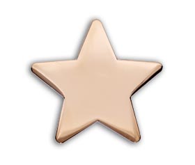 Bronze Polished Star badge (pack of 5)