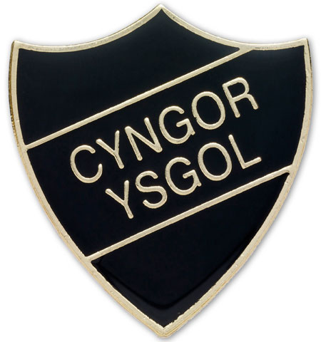 CYNGOR YSGOL black and gold (pack of 5)