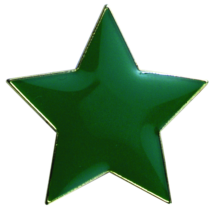 Green Star  badge (pack of 5)