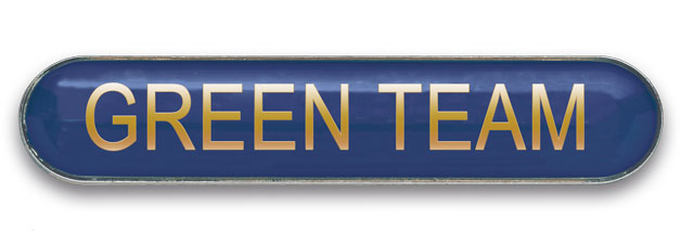 GREEN TEAM badge blue (pack of 5)