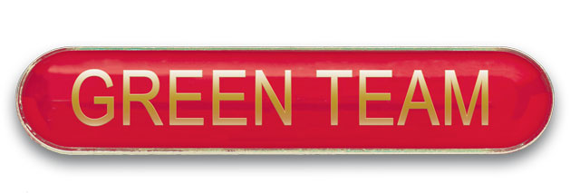 GREEN TEAM badge red (pack of 5)