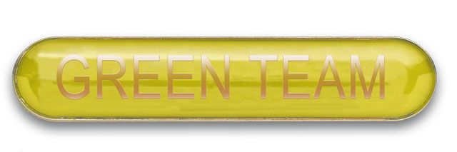 GREEN TEAM badge yellow (pack of 5)