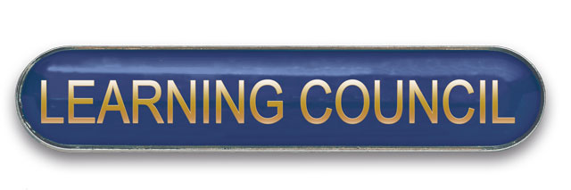 LEARNING COUNCIL badge blue (pack of 5)