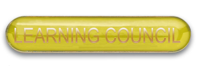 LEARNING COUNCIL badge yellow (pack of 5)