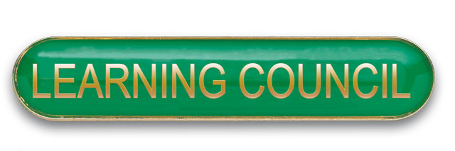 LEARNING COUNCIL badge green (pack of 5)