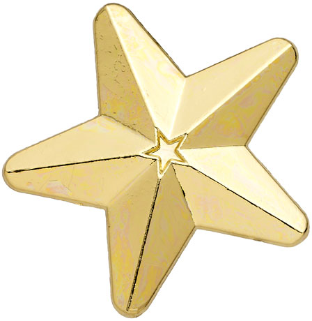 Gold 3D Star badge (pack of 5)