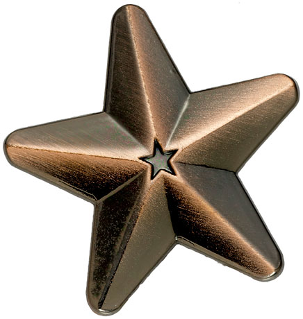 Bronze 3D Star Badge (pack of 5)