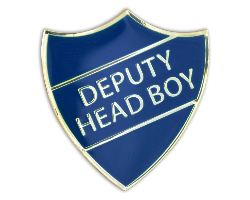 DEPUTY HEAD BOY blue and gold badge pack of 5)