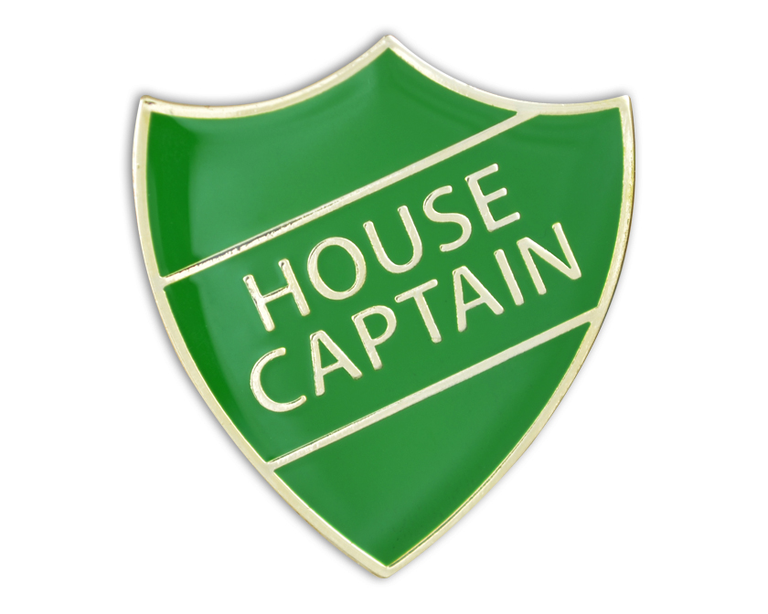 HOUSE CAPTAIN green and gold (pack of 5)