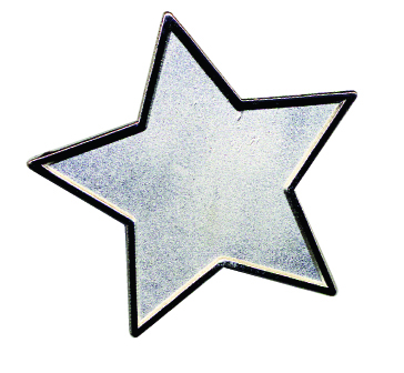 Silver Star badge (pack of 5)