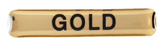 Gold Award badge (pack of 5)