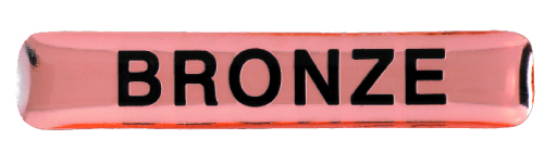 Bronze Award badge (pack of 5)