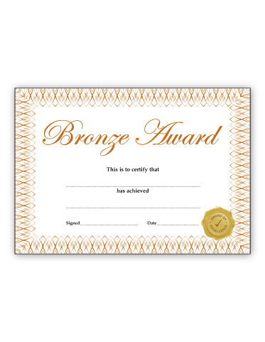 Bronze Award' certificate