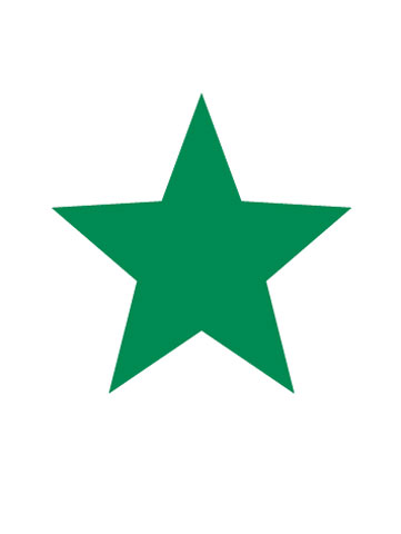 Plain green star sticker