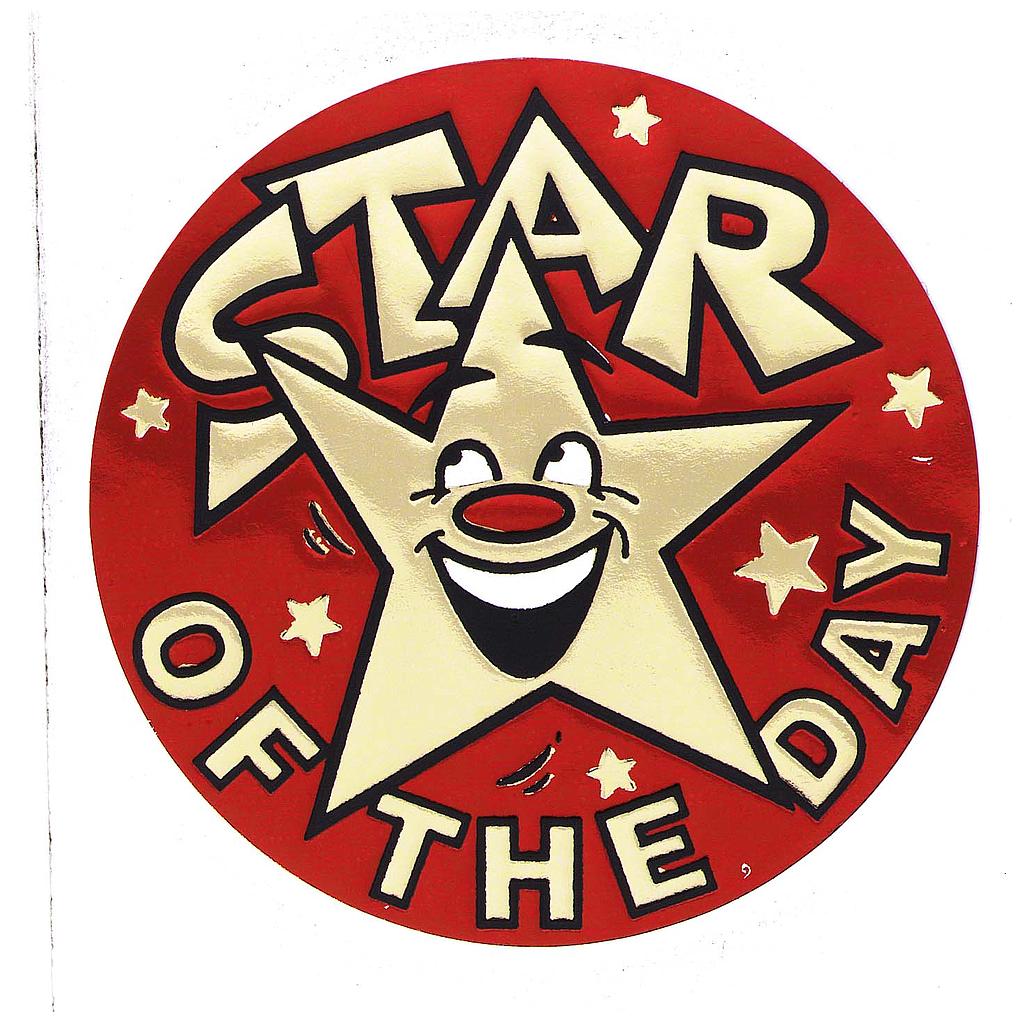 Metallic 'Star of the day' sticker