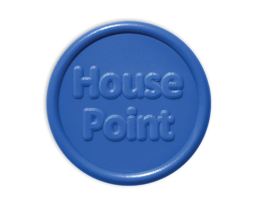 Blue House Point plastic tokens (pack of 25)