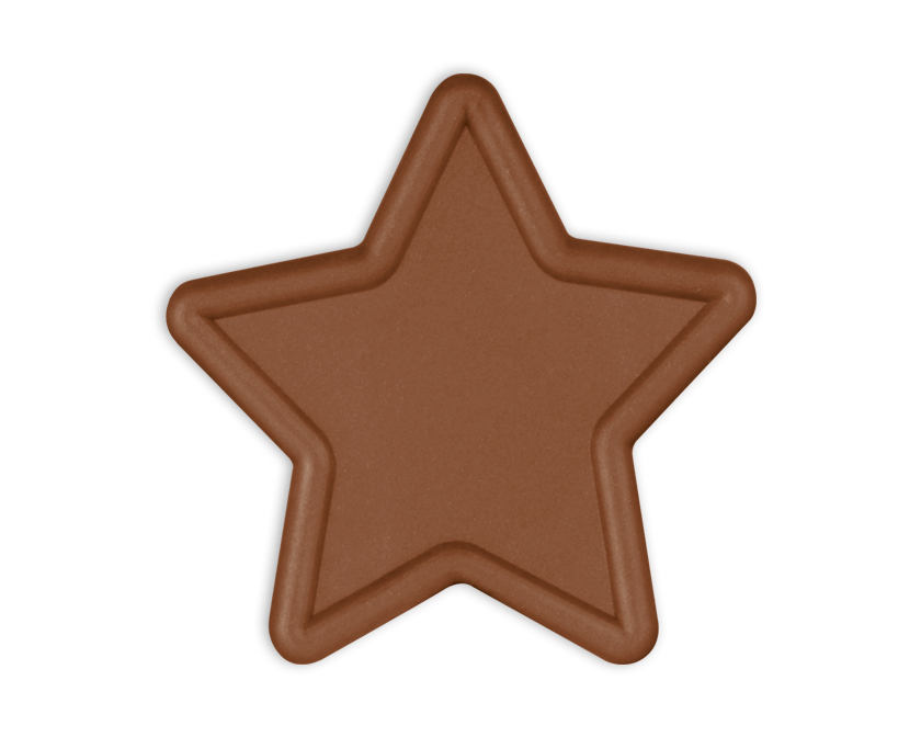 Bronze star plastic tokens (pack of 25)