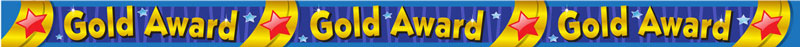 Gold Award wristband