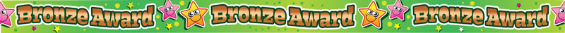 Bronze Award wristband