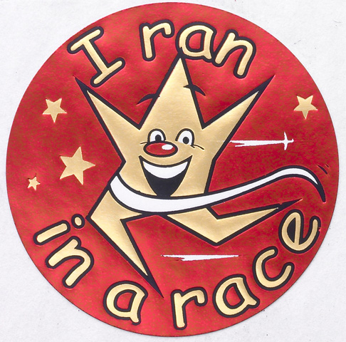 Metallic 'I ran in a rac'e sticker