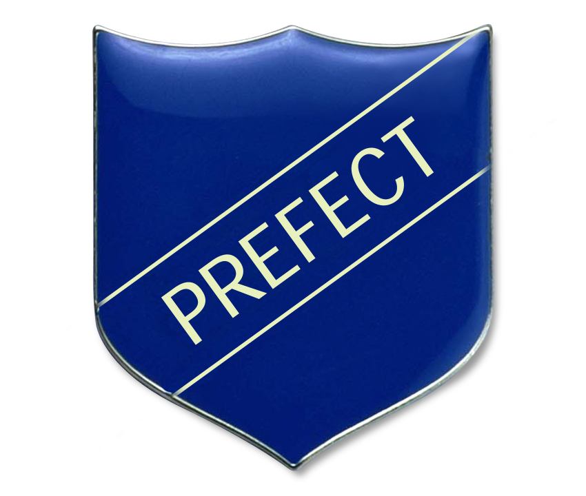 PREFECT badge blue (pack of 5)