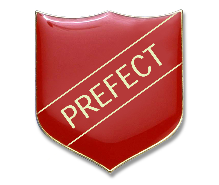 PREFECT badge red (pack of 5)