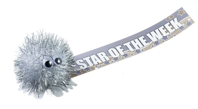 Star of the Week sticker bug