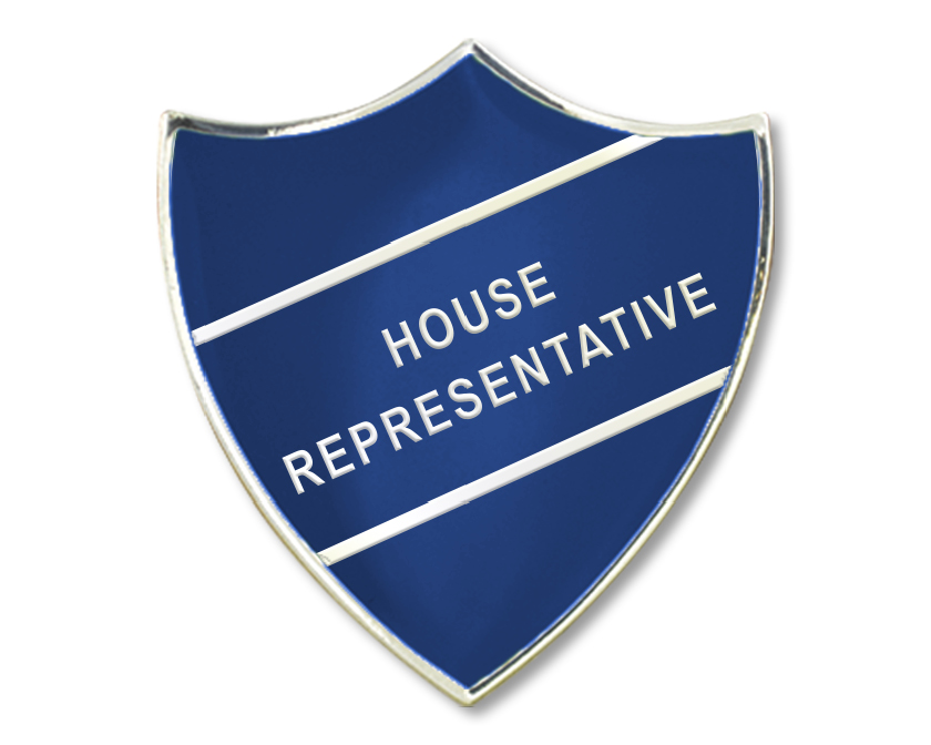 House Representative Enamel Badge (Pack of 5)
