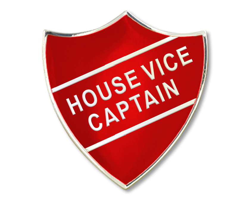 House Vice Captain Enamel Badge (Pack of 5)