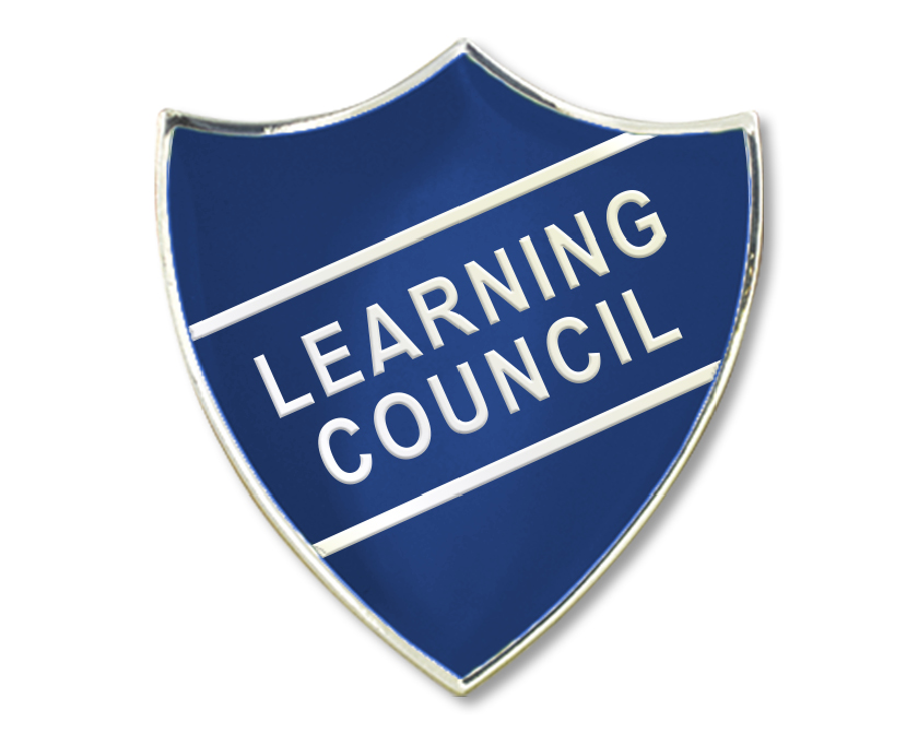 Learning Council Enamel Badge (Pack of 5)