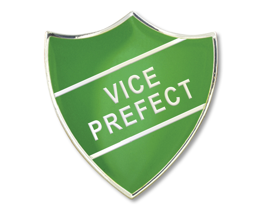 VICE PREFECT badge in green (pack of 5)
