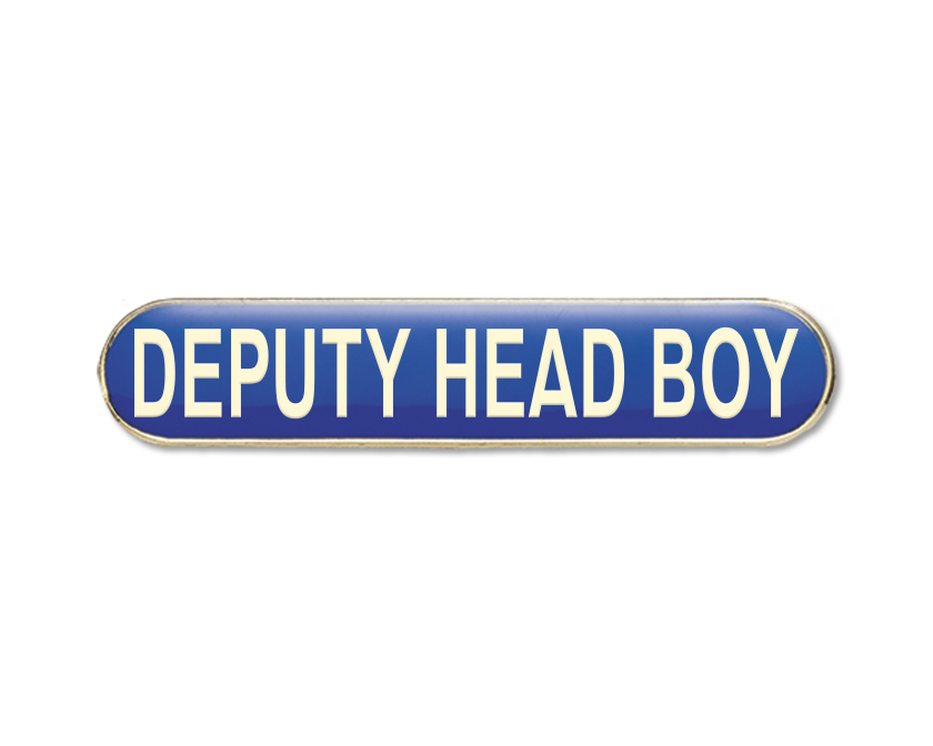 DEPUTY HEAD BOY Enamel Badges (Pack of 5)
