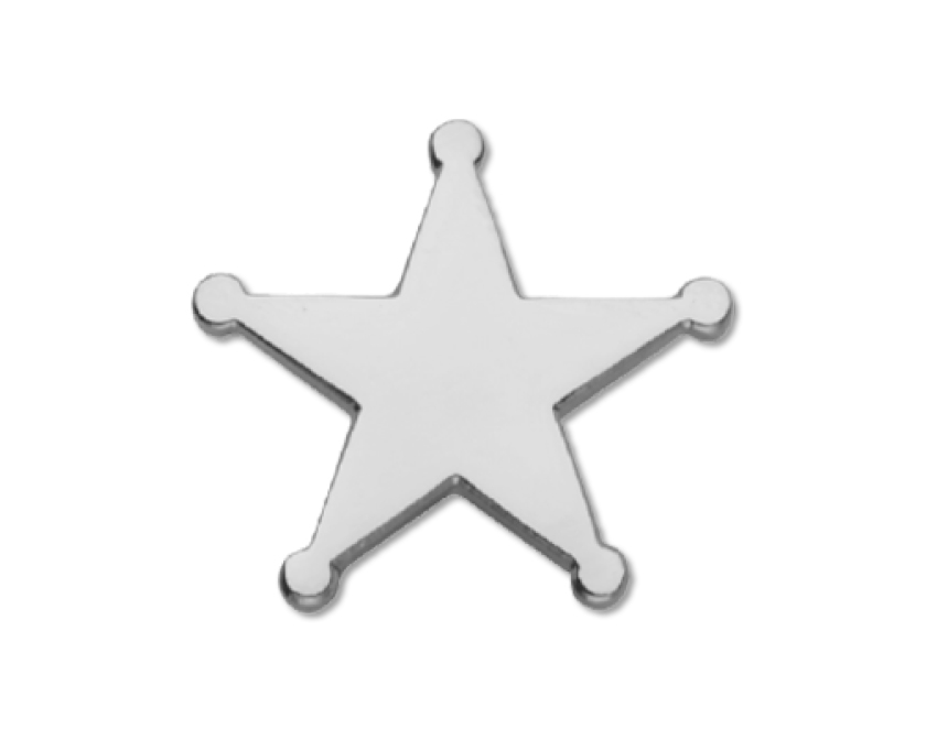 Silver 'Sheriff style' enamel badge