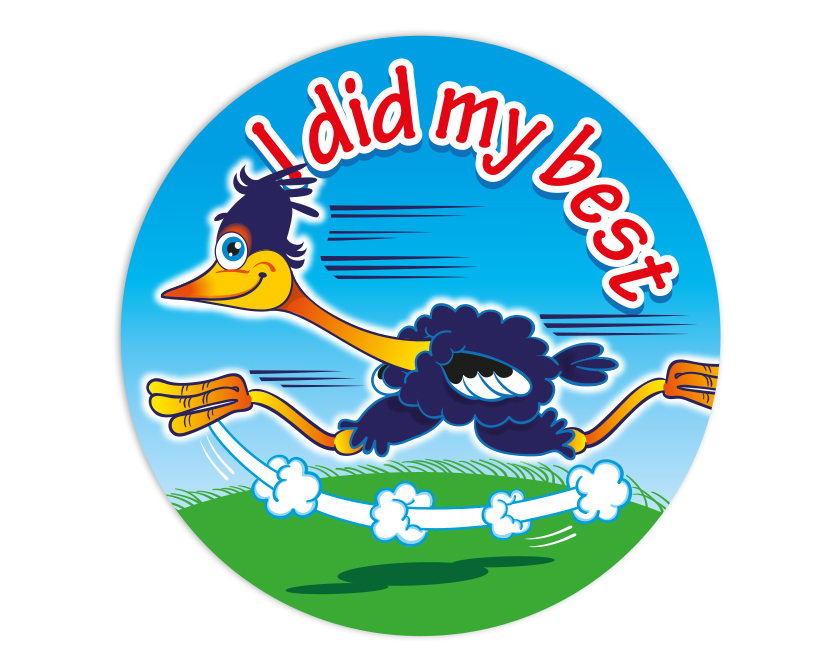 I did my best sticker'