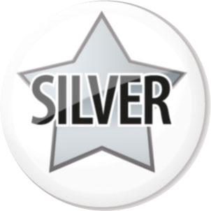 Silver star button badge