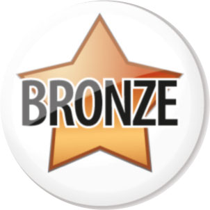 Bronze star button badge