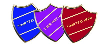 Gold Enamel Title  badges style C (min quantity 25)